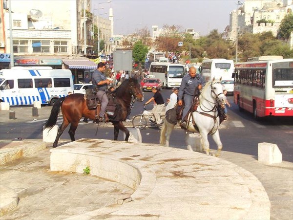 078-Иерусалим- конная полиция